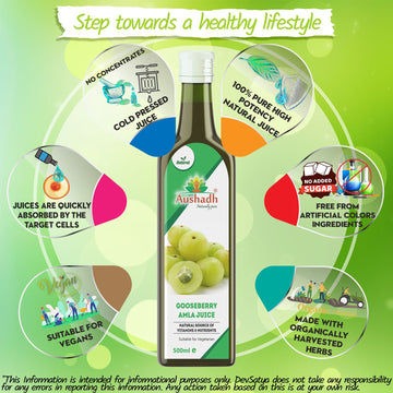 Amla Fruit (Gooseberry) Juice 500mL