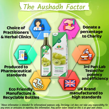 Amla Fruit (Gooseberry) Juice 500mL