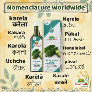 Bitter Gourd (Karela) Juice 500ml