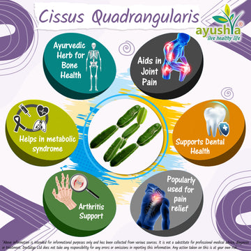 Cissus Quadrangularis (HadJod) Capsule