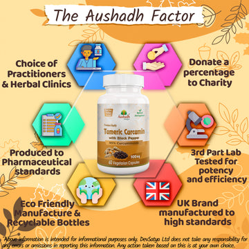 Curcumin (Turmeric) Capsule with Piperine