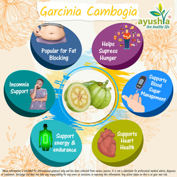 Garcinia Cambogia Capsule