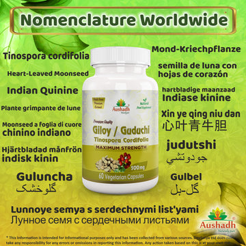 Giloy Guduchi Capsule (Tinospora Cordifolia)