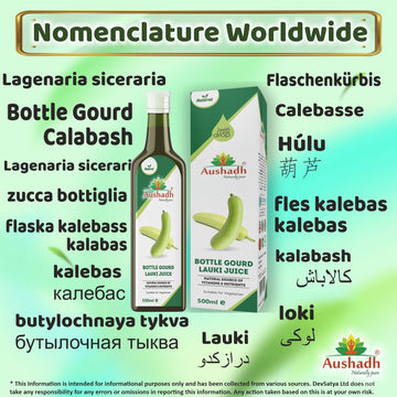 Louki Juice 'Bottle Gourd Juice' 500mL