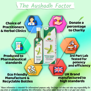 Louki Juice 'Bottle Gourd Juice' 500mL