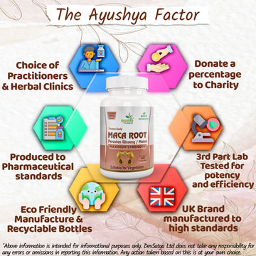 Maca Root Capsule