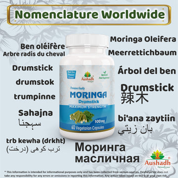 Cápsula de Moringa Oleifera (baqueta)