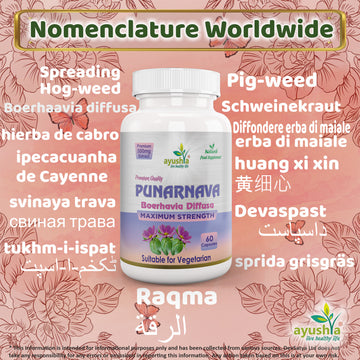 Punarnava Capsule (Boerhavia Diffusa)