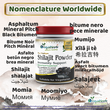 Pure Himalayan Shilajit Powder Fulvic Acid Humic Acid and Minerals 3.5 Oz (100g)