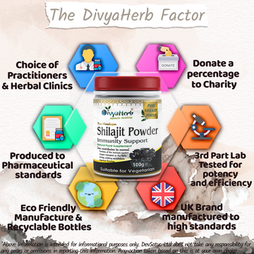 Pure Himalayan Shilajit Powder Fulvic Acid Humic Acid and Minerals 3.5 Oz (100g)