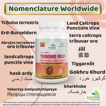 Tribulus Terrestris Extract Capsules
