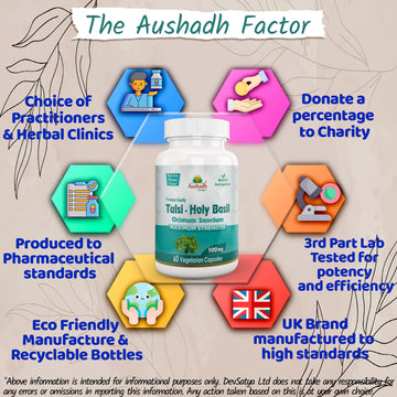 Holy Basil (Tulsi) Capsule