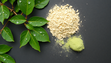 Effective Ways to Utilize Madhunasini Plant for Diabetes Treatment in 2026
