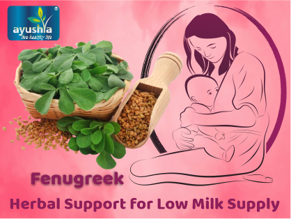 Herbal Remedies for Increasing Milk Supply