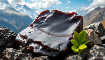 Unlock the Secrets of Pure Shilajit: A Guide to Holistic Wellness