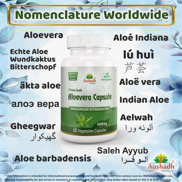 Aloe Vera Capsule Synonyms Vernacular Names