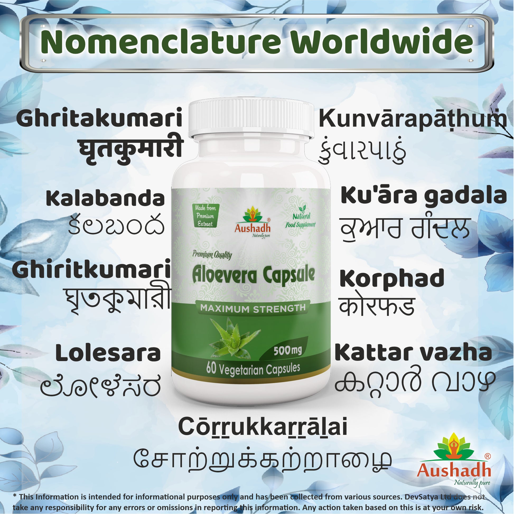 Aloe Vera Capsule Regional Names Synonyms 