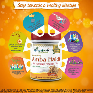 Amba Haldi Curcuma Amada Powder Potency Organic