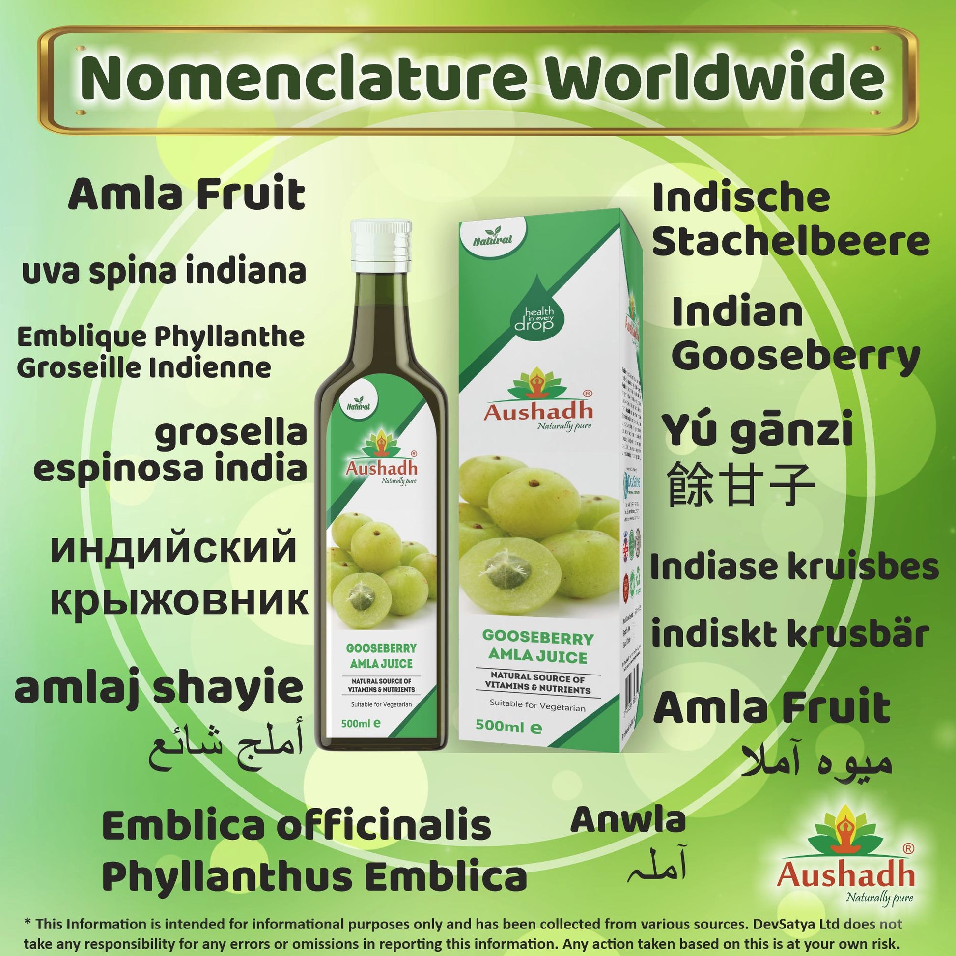 Amla Fruit Gooseberry Juice Synonyms Vernacular Names