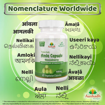 Amla Fruit Gooseberry Capsule Regional Names Synonyms 