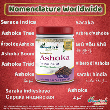 Ashoka Powder Synonyms Vernacular Names