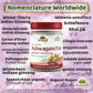 Ashwagandha Powder