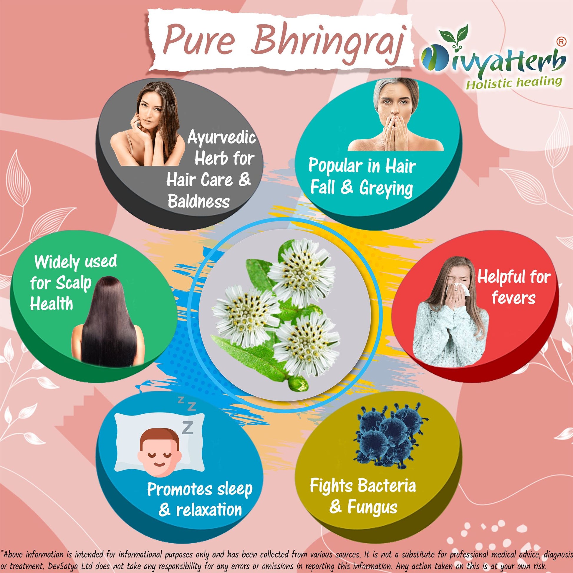 Pure Bhringraj Powder Herb Benefit