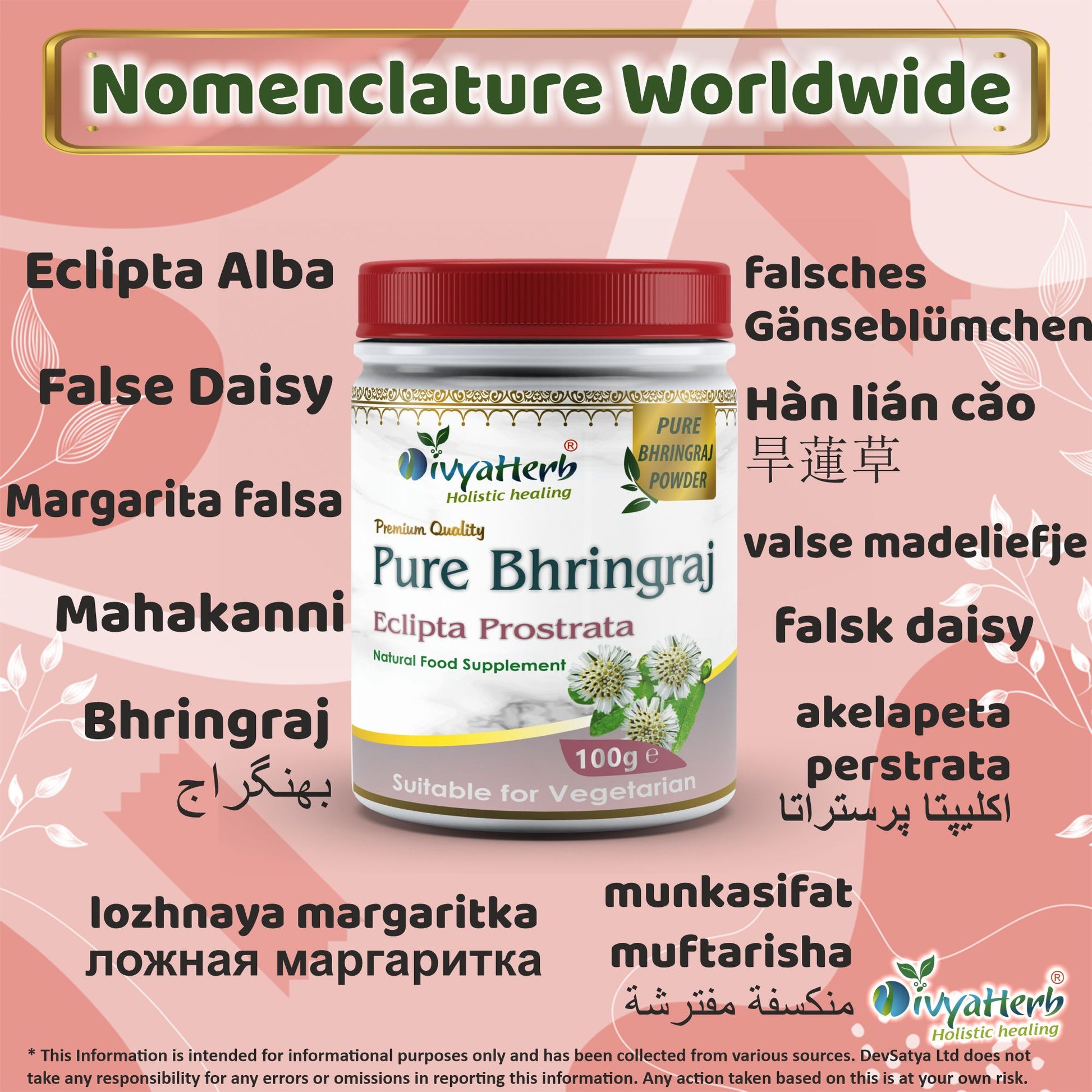 Pure Bhringraj Powder Synonyms Vernacular Names