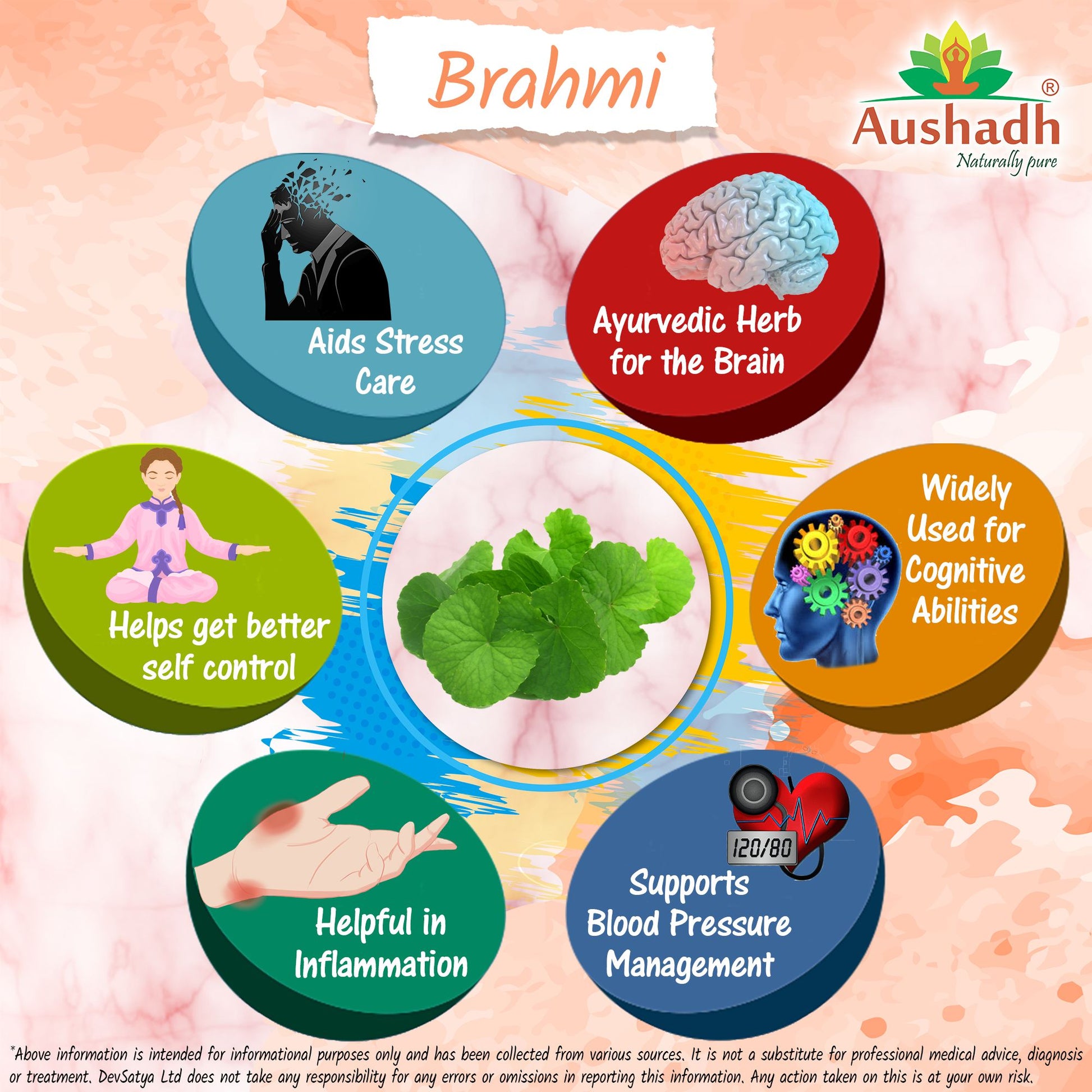 Brahmi Powder Herb Benefit