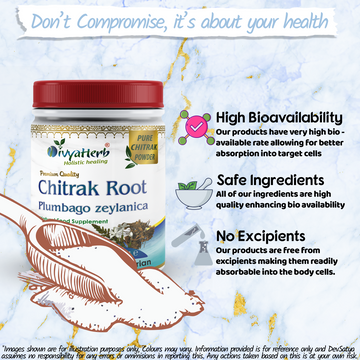 Poudre de Chitrak (Plumbago zeylanica)