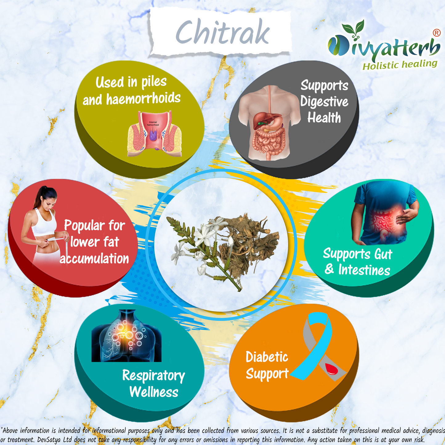 Chitrak Powder Plumbago zeylanica Herb Benefit