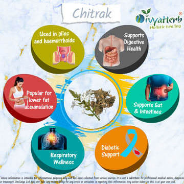 Chitrak Powder Plumbago zeylanica Herb Benefit