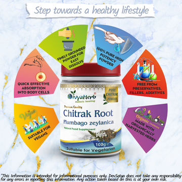 Poudre de Chitrak (Plumbago zeylanica)