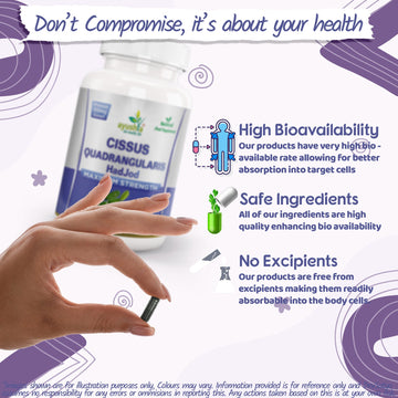 Gélule Cissus Quadrangularis (HadJod)