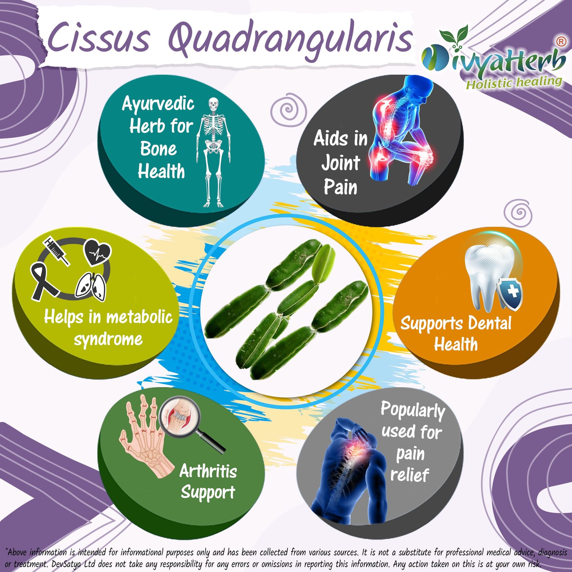 Cissus Quadrangularis Powder Herb Benefit