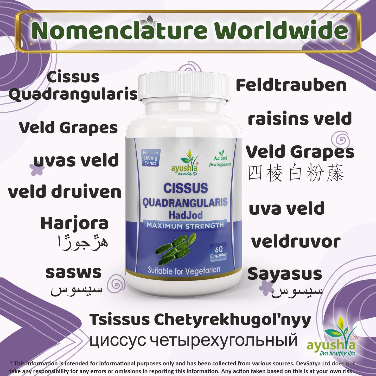 Cissus Quadrangularis HadJod Capsule Synonyms Vernacular Names