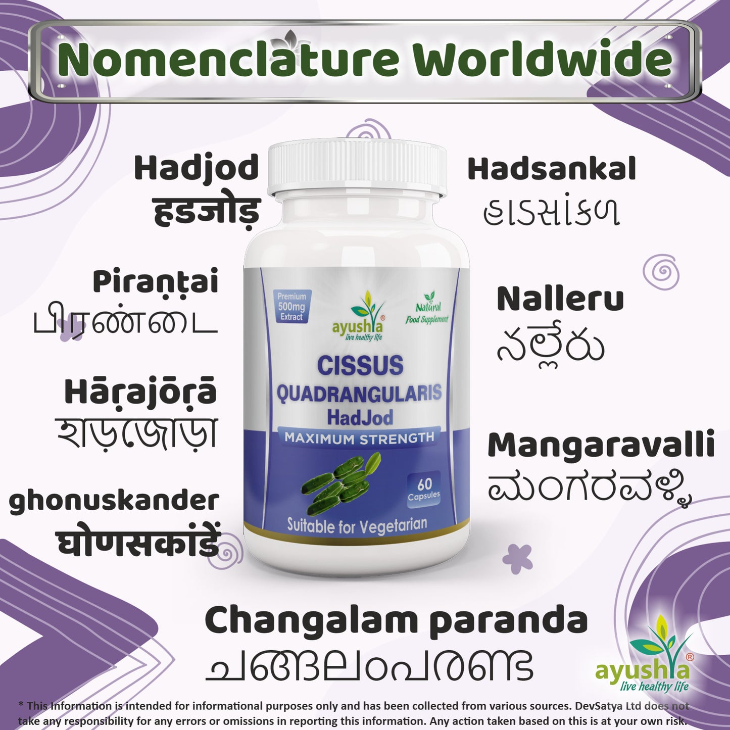 Cissus Quadrangularis HadJod Capsule Regional Names Synonyms 