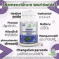 Cissus Quadrangularis HadJod Capsule Regional Names Synonyms