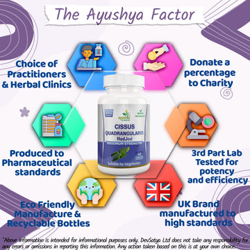 Gélule Cissus Quadrangularis (HadJod)