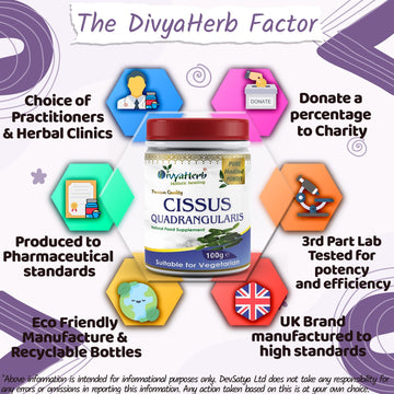 Poudre de Cissus Quadrangularis