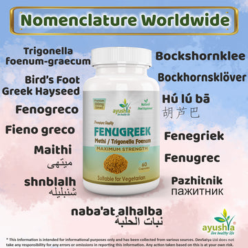 Fenugreek Capsule Synonyms Vernacular Names