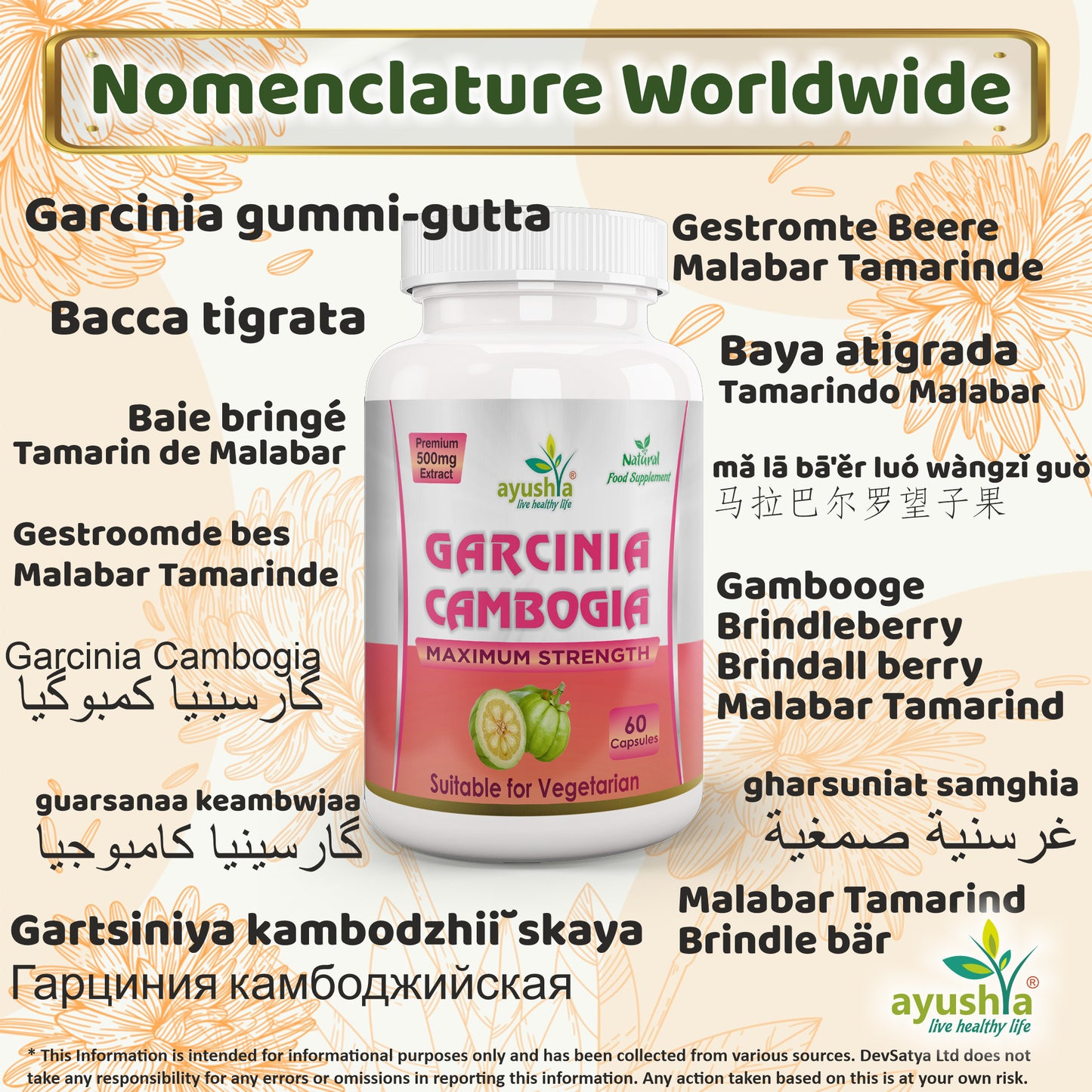 Garcinia Cambogia Capsule Synonyms Vernacular Names