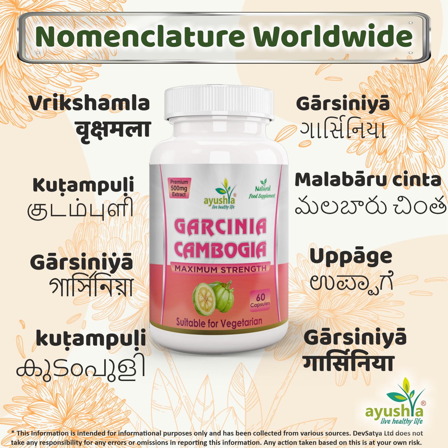 Garcinia Cambogia Capsule Regional Names Synonyms 