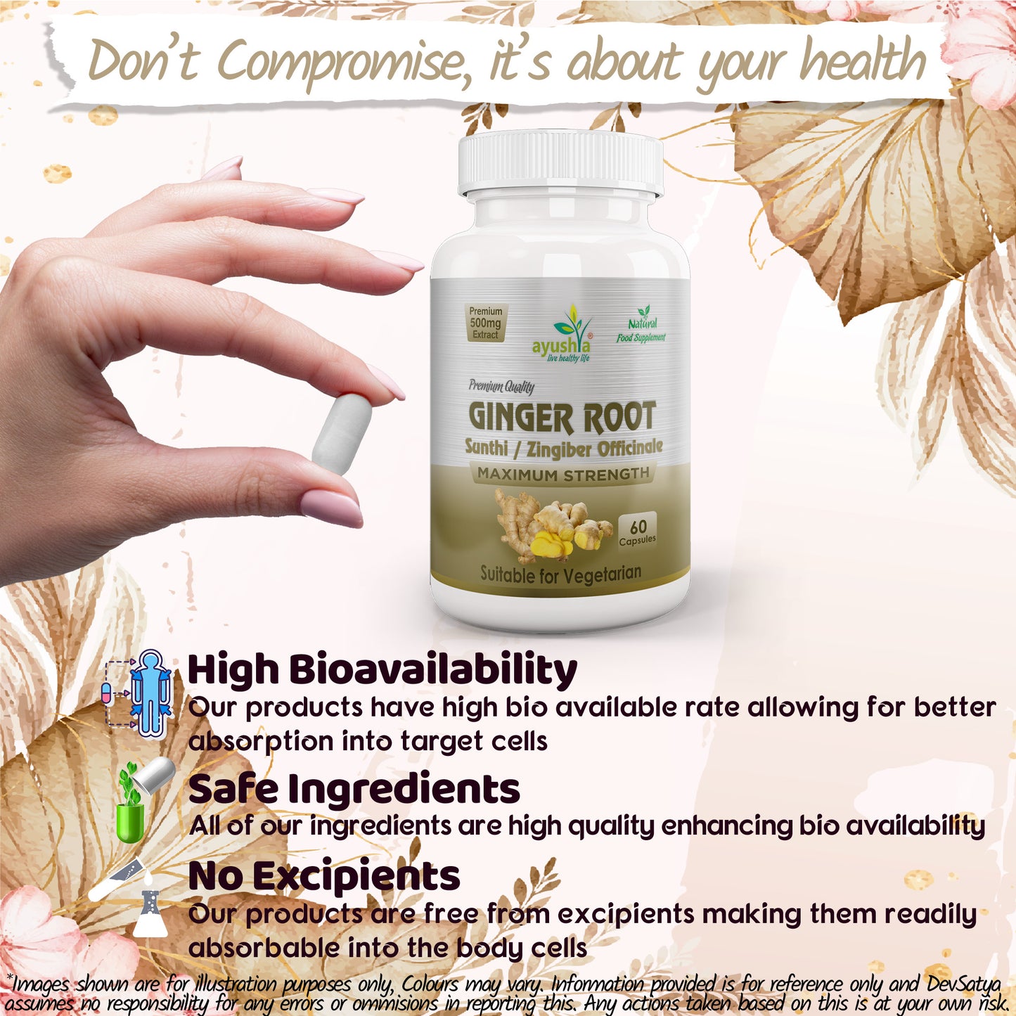 Ginger Root Sunthi Capsule Bioavailability