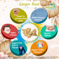 Ginger Root Sunthi CapsuleHerb Benefit