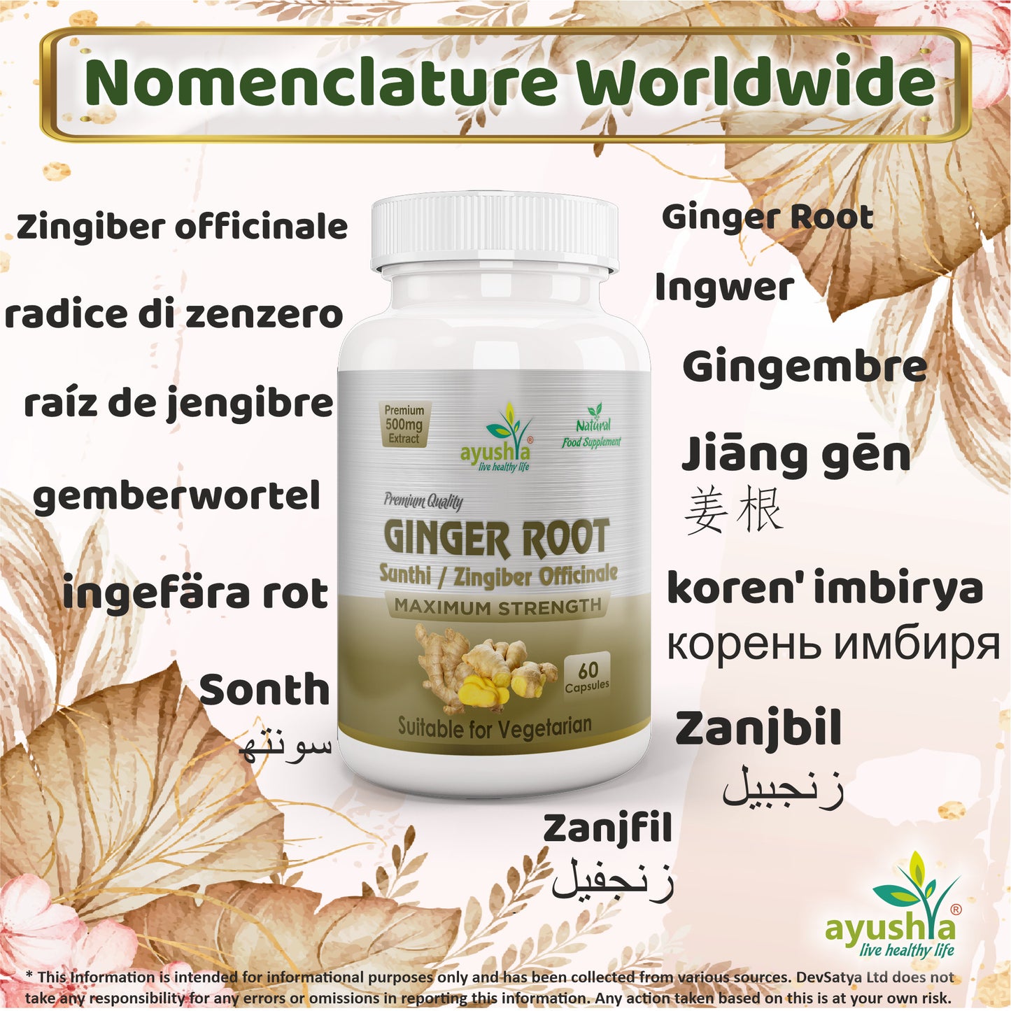 Ginger Root Sunthi Capsule Synonyms Vernacular Names