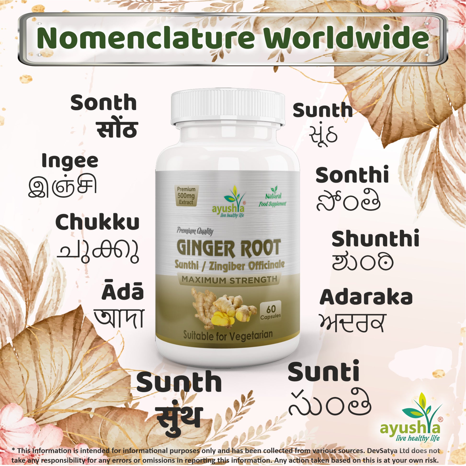 Ginger Root Sunthi Capsule Regional Names Synonyms 