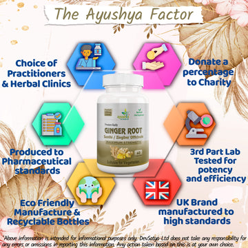 Ayushya Ginger Capsules (Adrak, Sunthi) Digestive Comfort Support - Vegan, Gluten Free, Non-GMO, 60 Capsules
