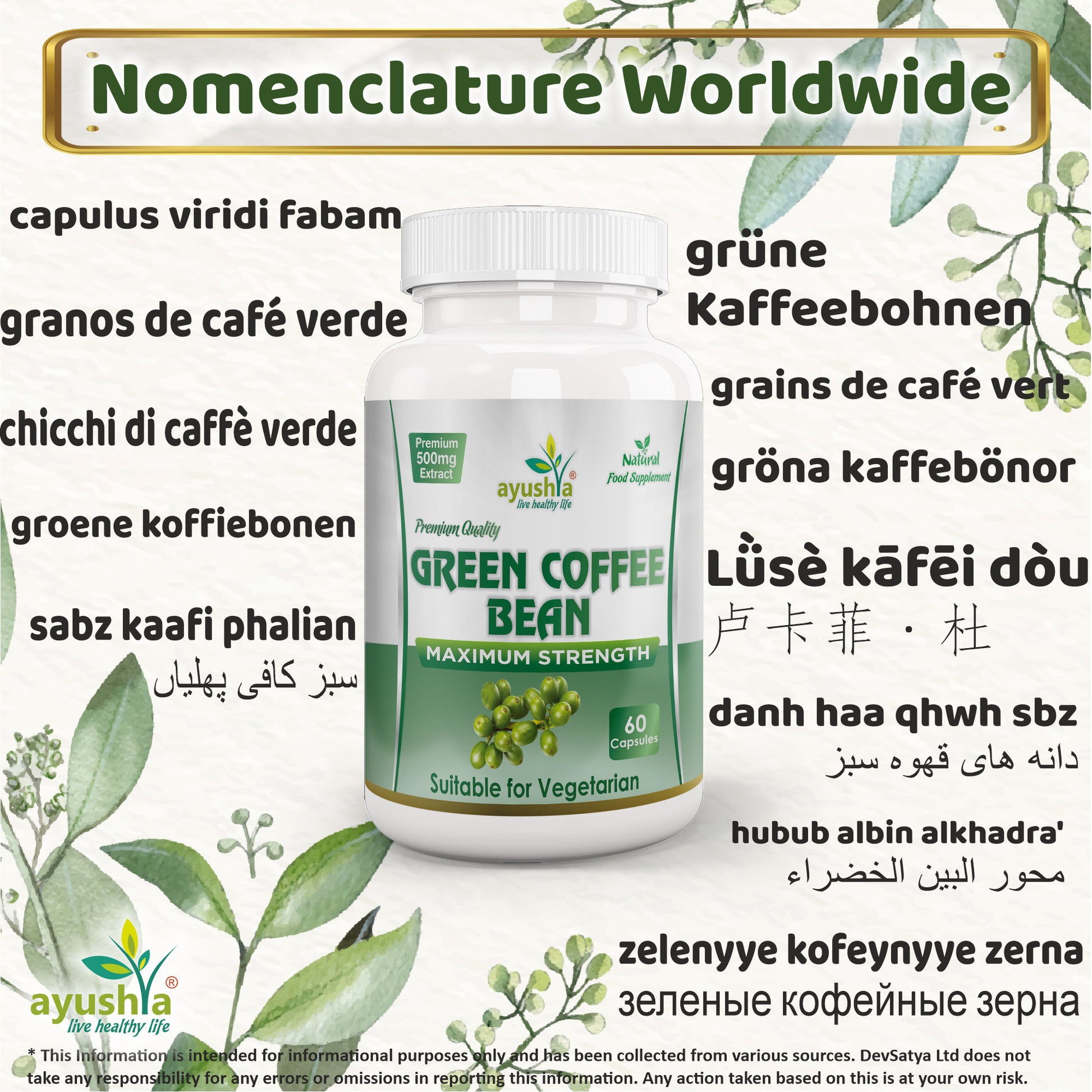 Green Coffee Bean Capsule Synonyms Vernacular Names