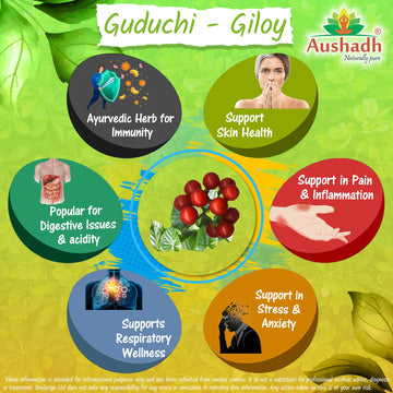 Aushadh Guduchi Powder 100 gram - Daily Wellness Support